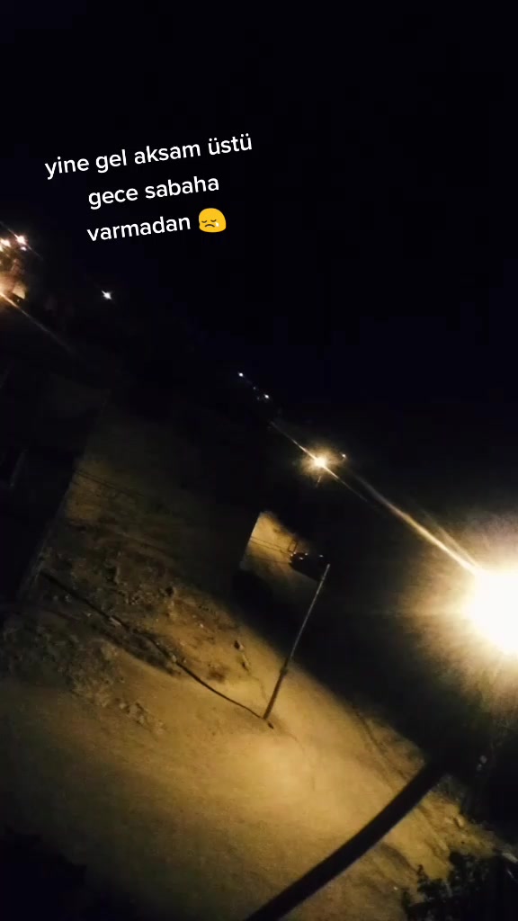 @aysegulum