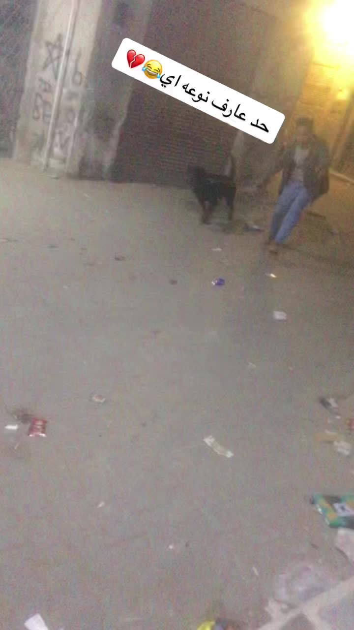 @باباا الوراق⚔️😎☄️
