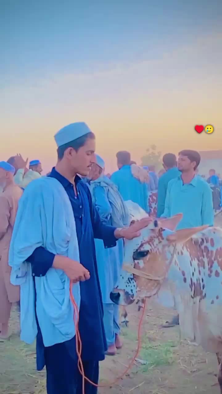 @Ibad زیب Maلaنg