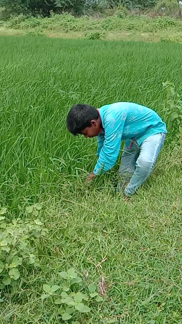 @user7395624499019