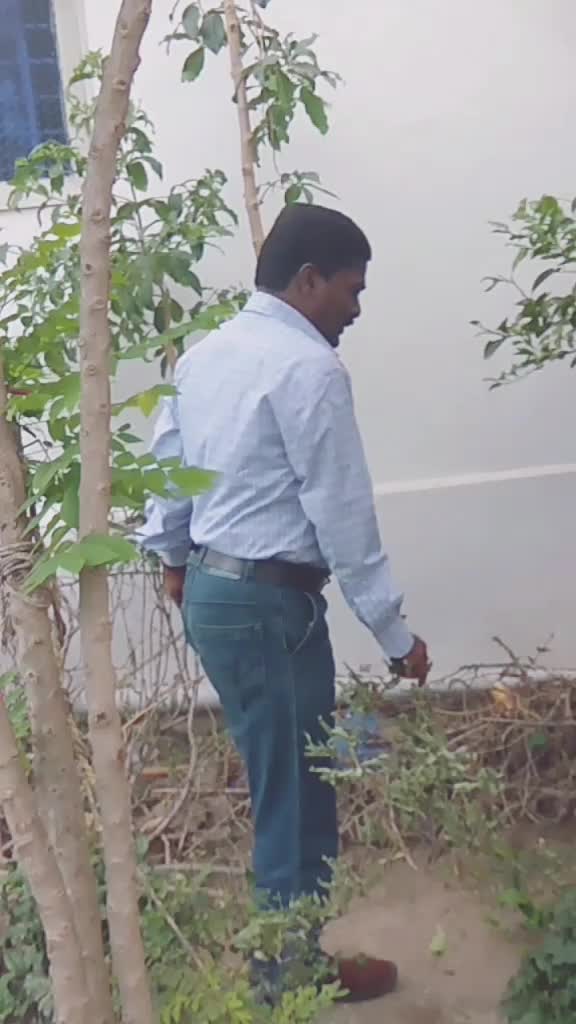@Shanmuga Swamy