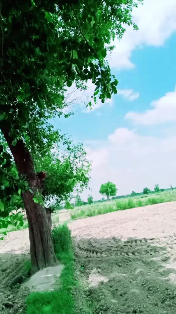 @Tarun Pathak