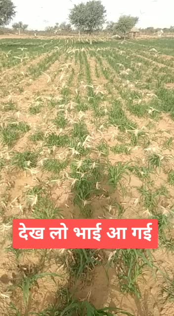 @Rohit baZad