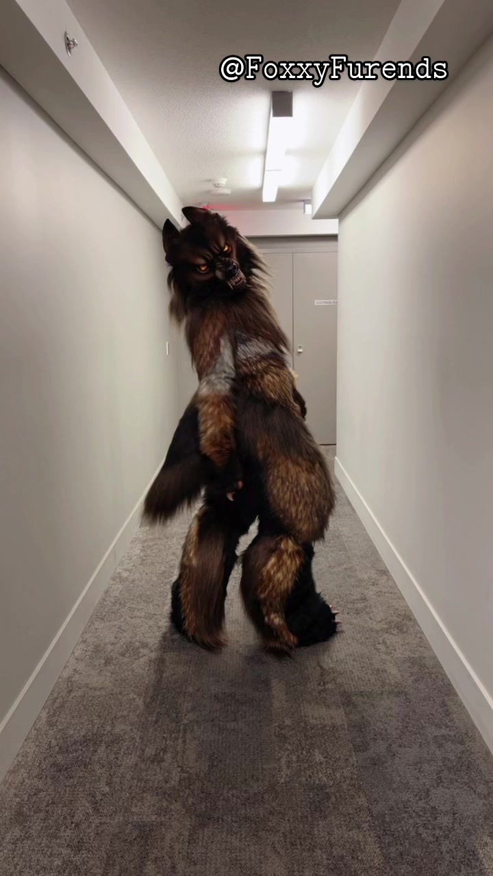 @FoxxyFurends