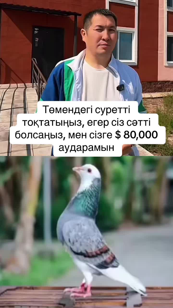 @ҚанатСарсенбек жеке кәсіпкер