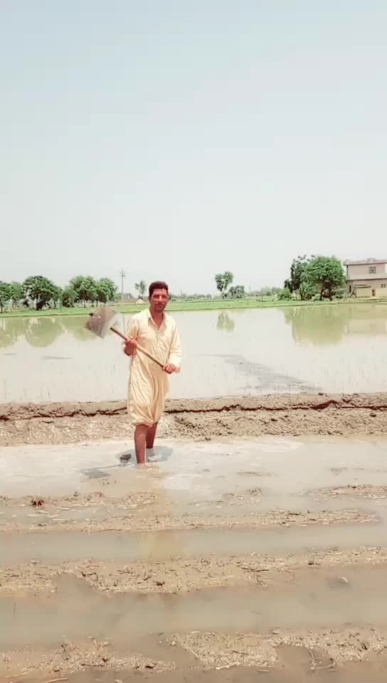 @dasi jamidar