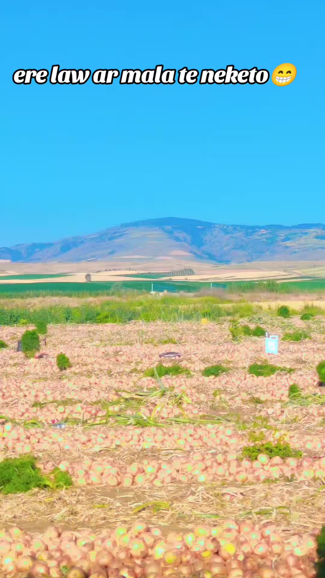 @Güla kerejdağe