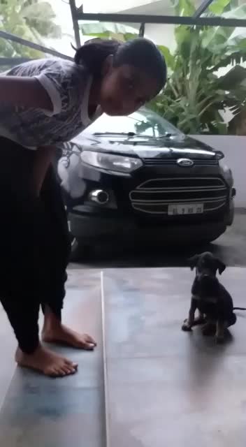@lachushivanya