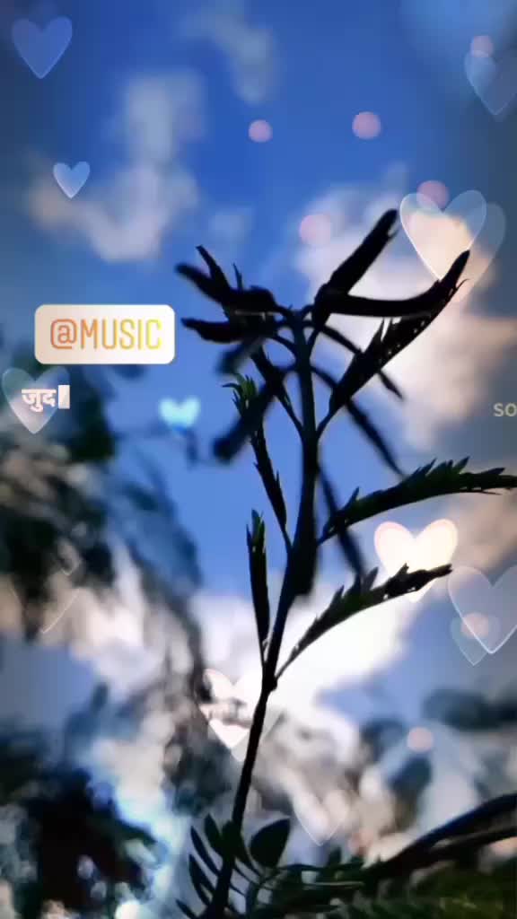 @😎Rex chandu😎