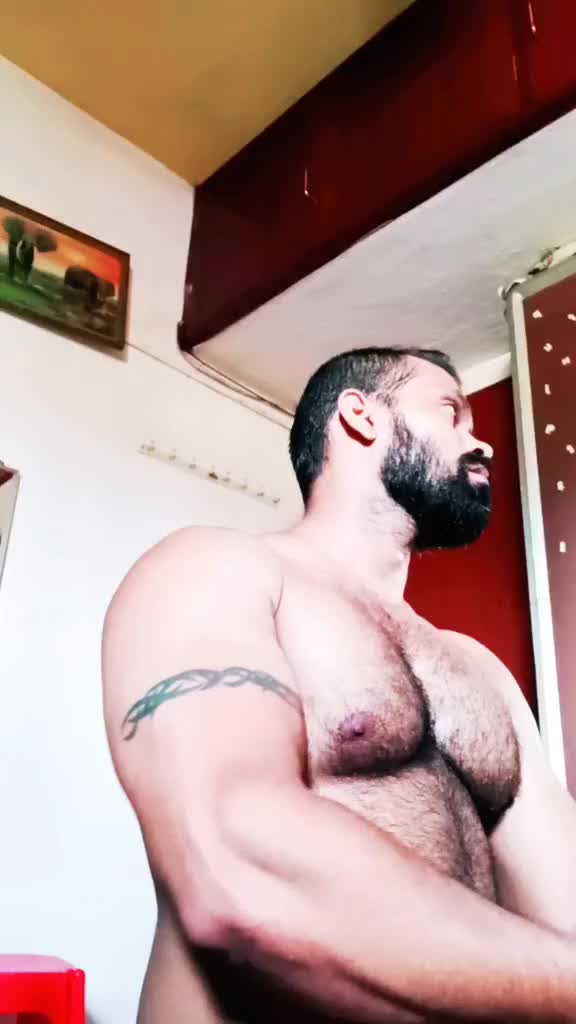 @user084438