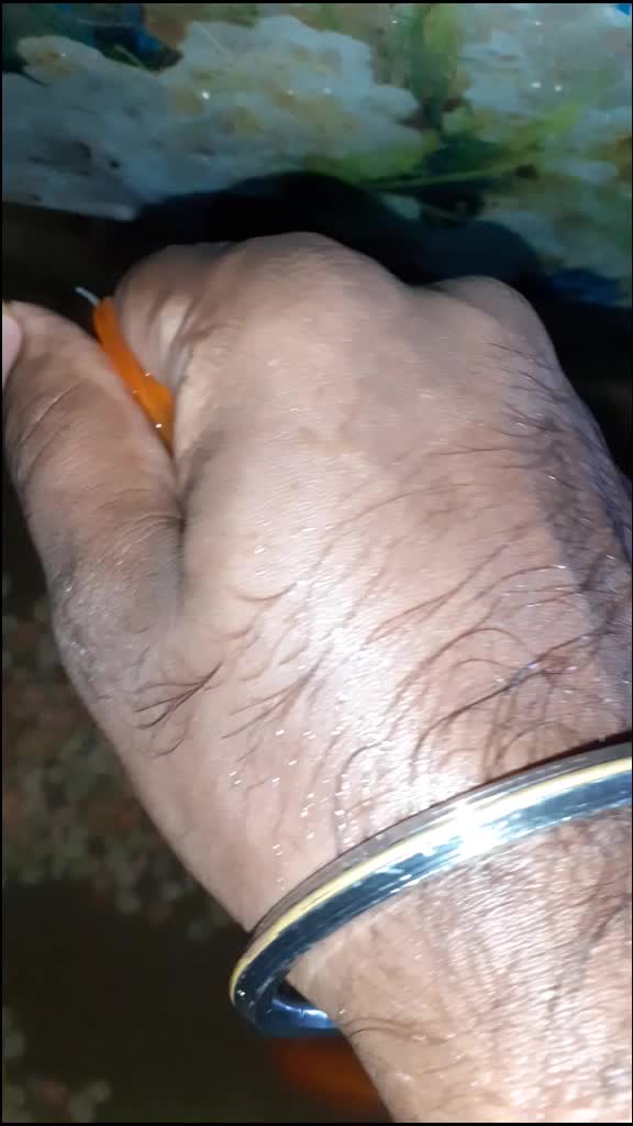 @vigneshTVR