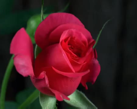 @Latha P