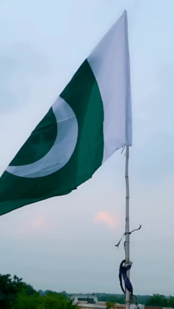 @Khushi Zai
