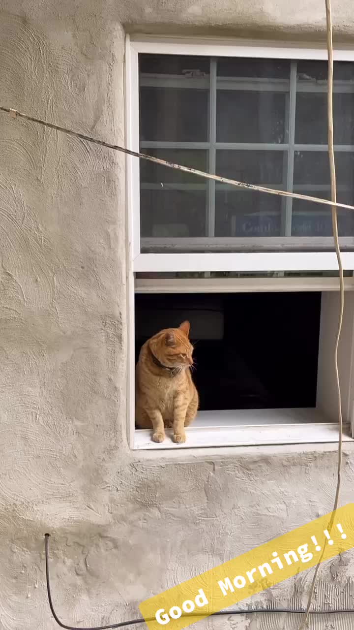 @Paratiwithlove