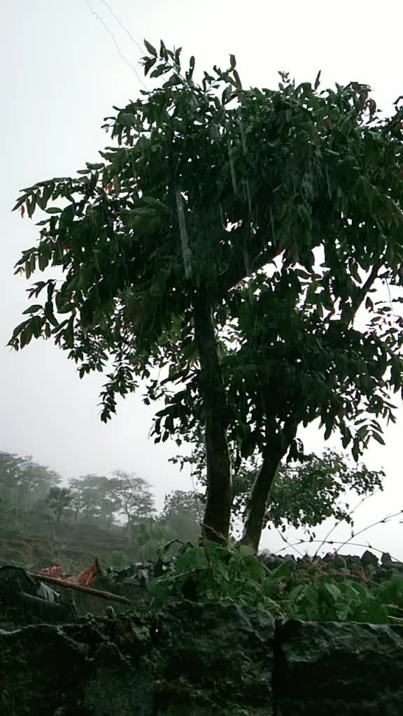 @अजय कुमार