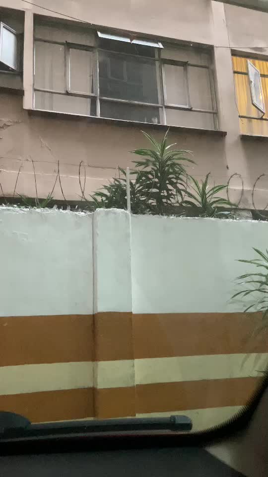@Dano Soto