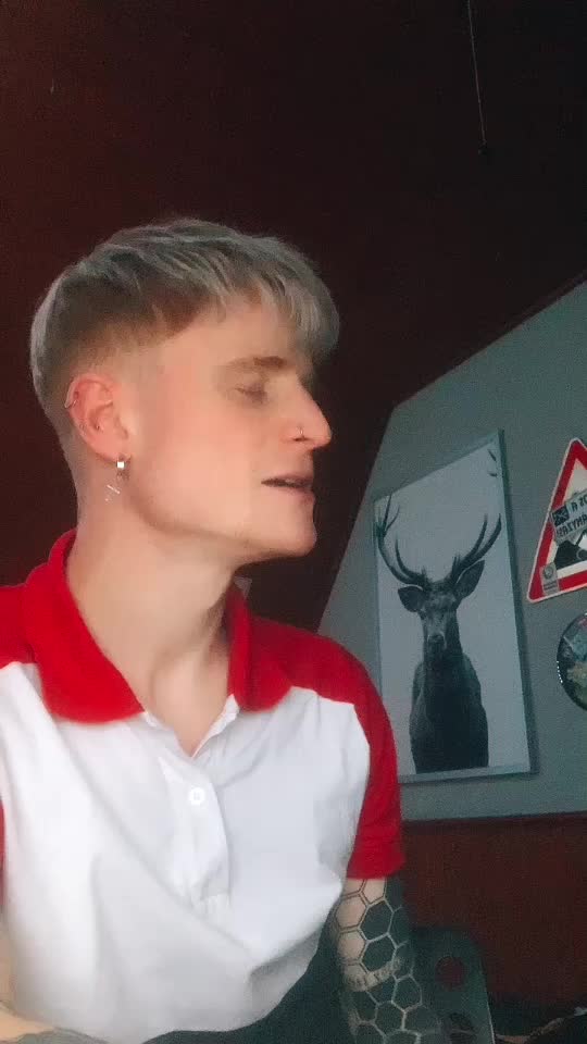 @Koll&aacute;r D&aacute;vid