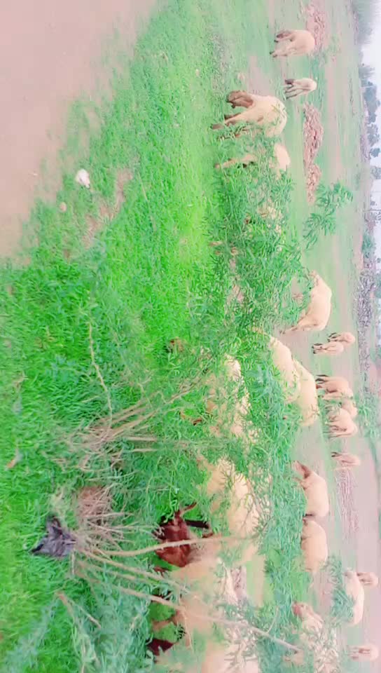 @KAMLESH RABARI