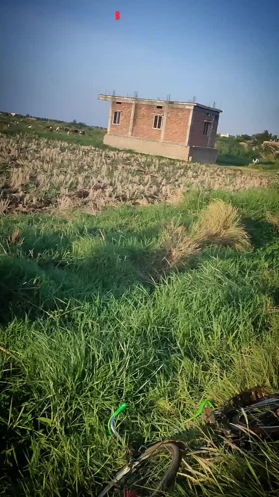 @◀ᴀʀsʜᴀᴅ▶