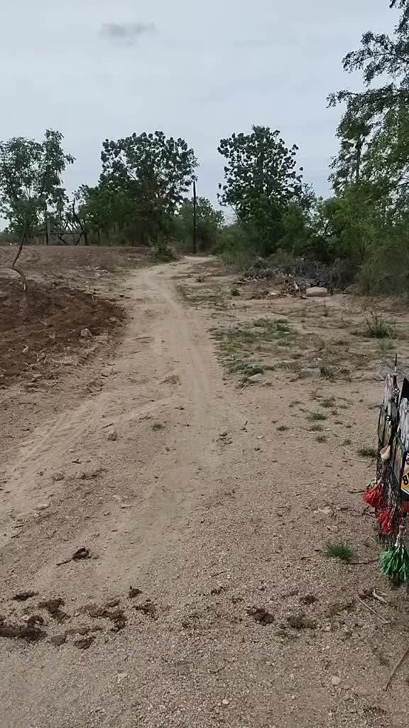 @vigni