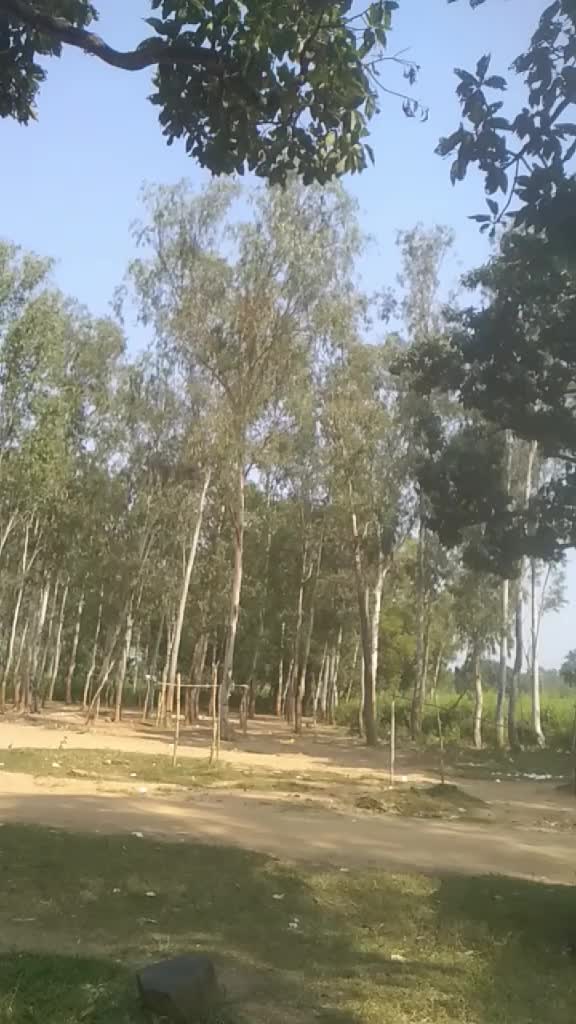 @Uttam Kumar Podha689