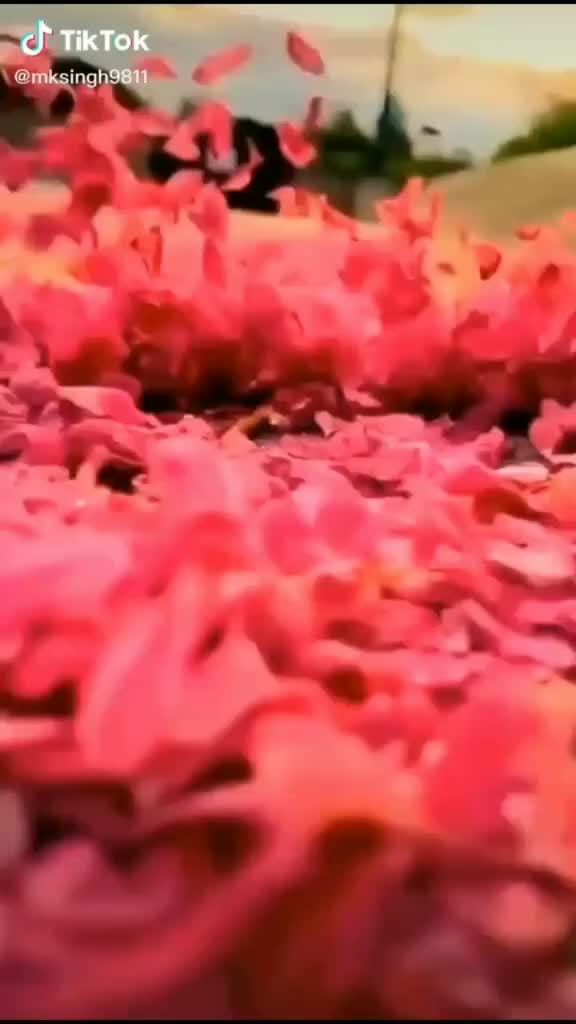 @baliram kumar 467