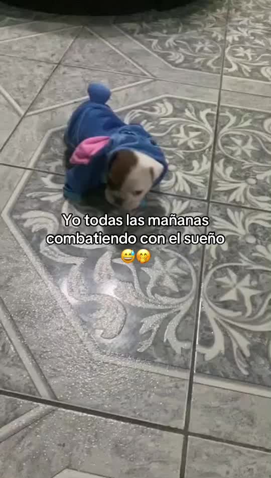 @LA QP👩🏻⚖️🏋️♀️♥️