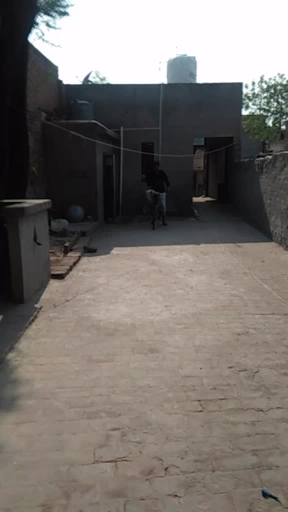 @pali.saab