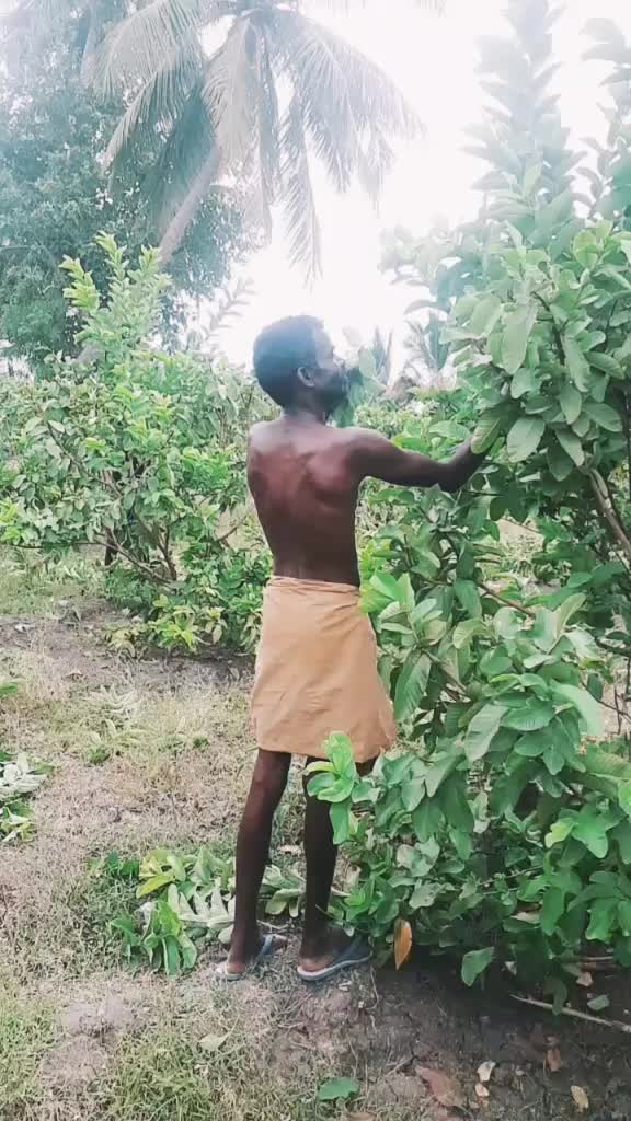 @vetriselvam
