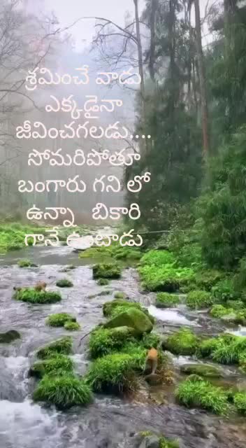 @Raghu Chinna