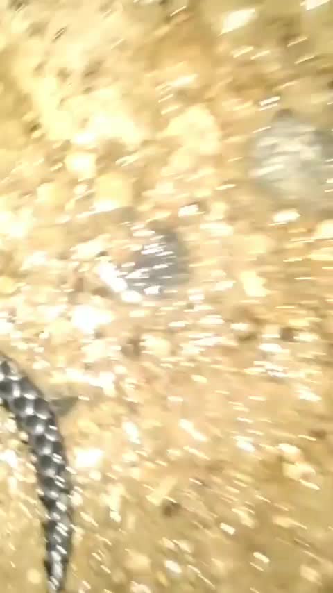 @paridwal 009