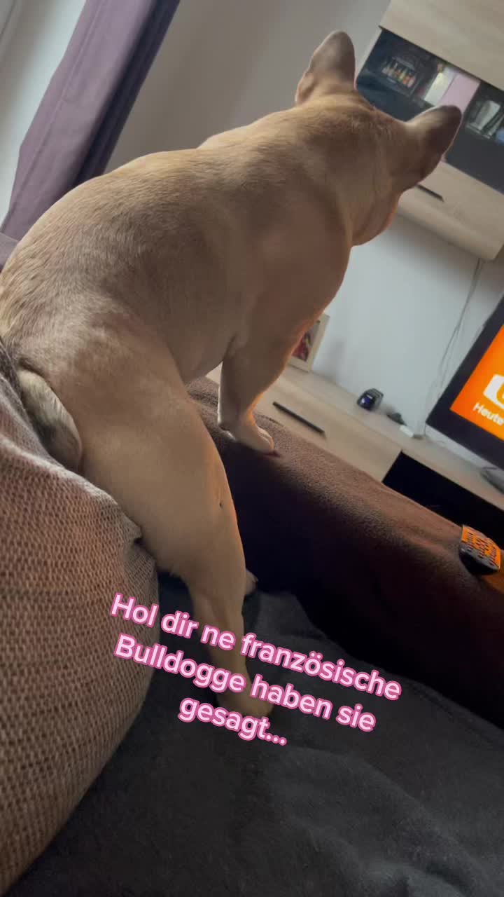 @lukasuncutdaily
