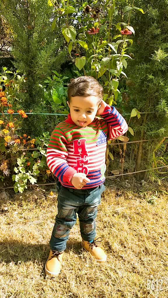@Bhat Aftab