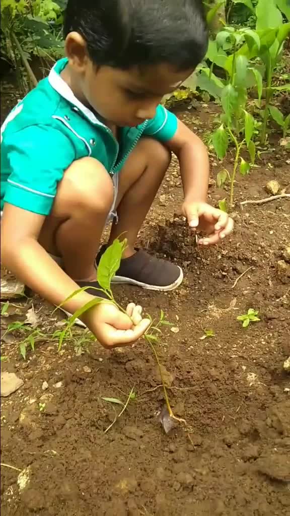 @sreekshiva
