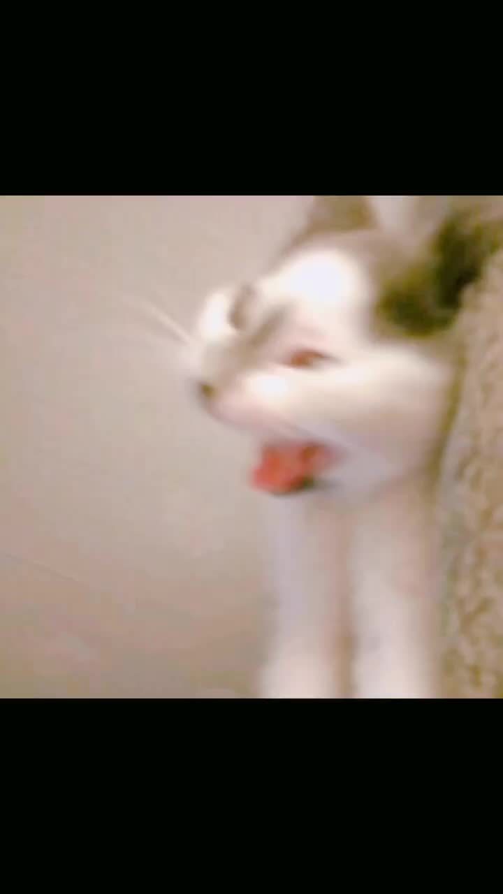 @Quartzcat 42