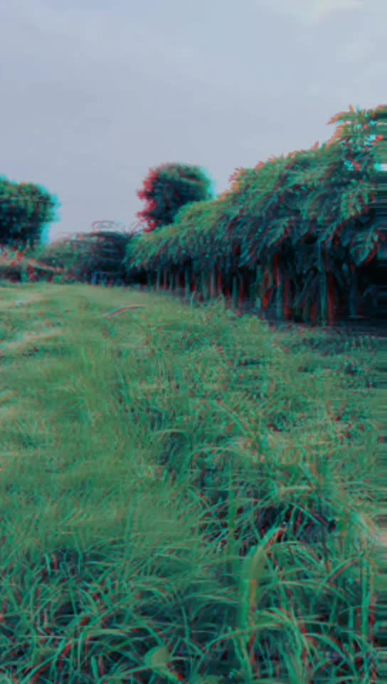 @Official narayan
