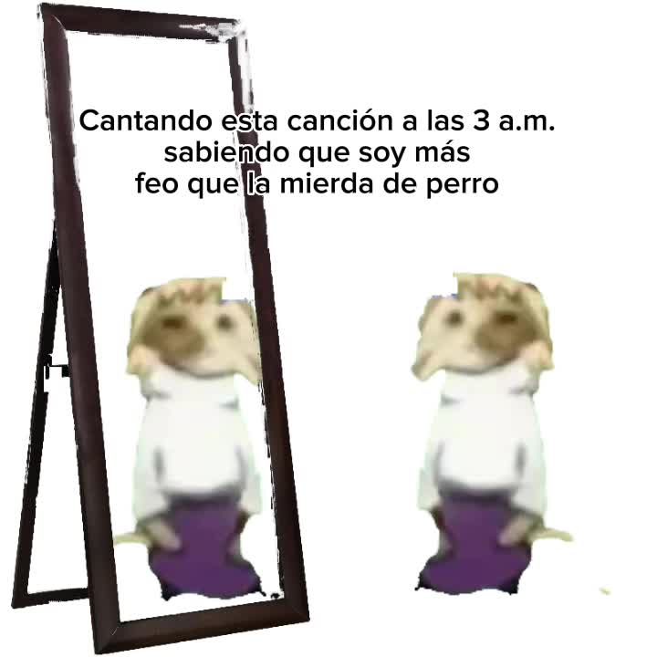 @Midil