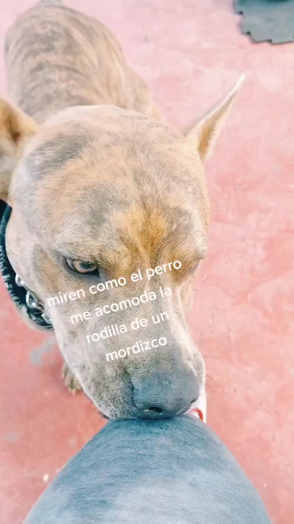 @contenido de alejo....