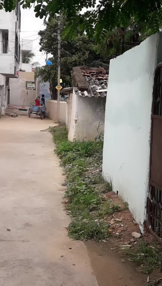 @sunny meloju