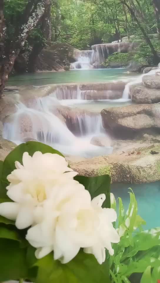 @Lingesh Vl