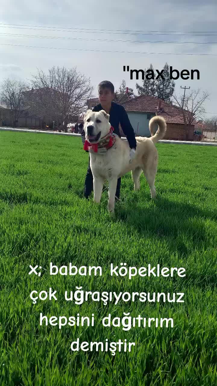 @Ramazan akosman