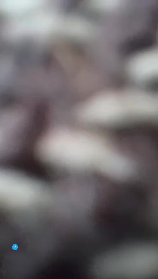 @GO FOLLOW FREEHORSES.OX!!!