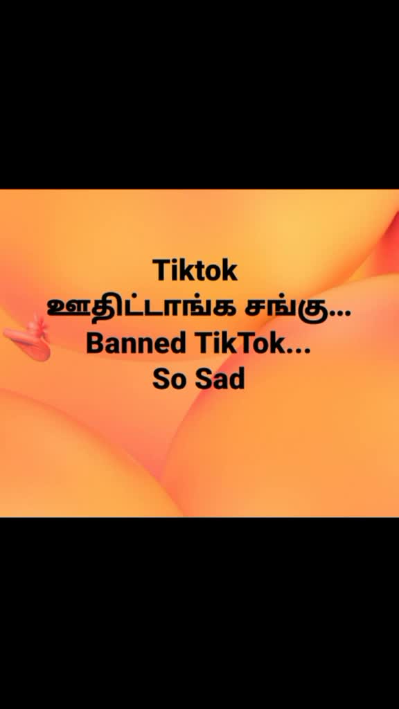 @user38029710843