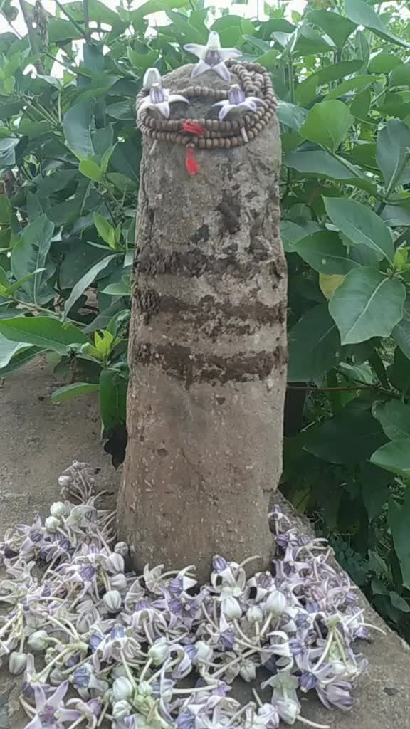 @ମୋ ଜୀବନରେ ଖୁସି ନାହିଁ