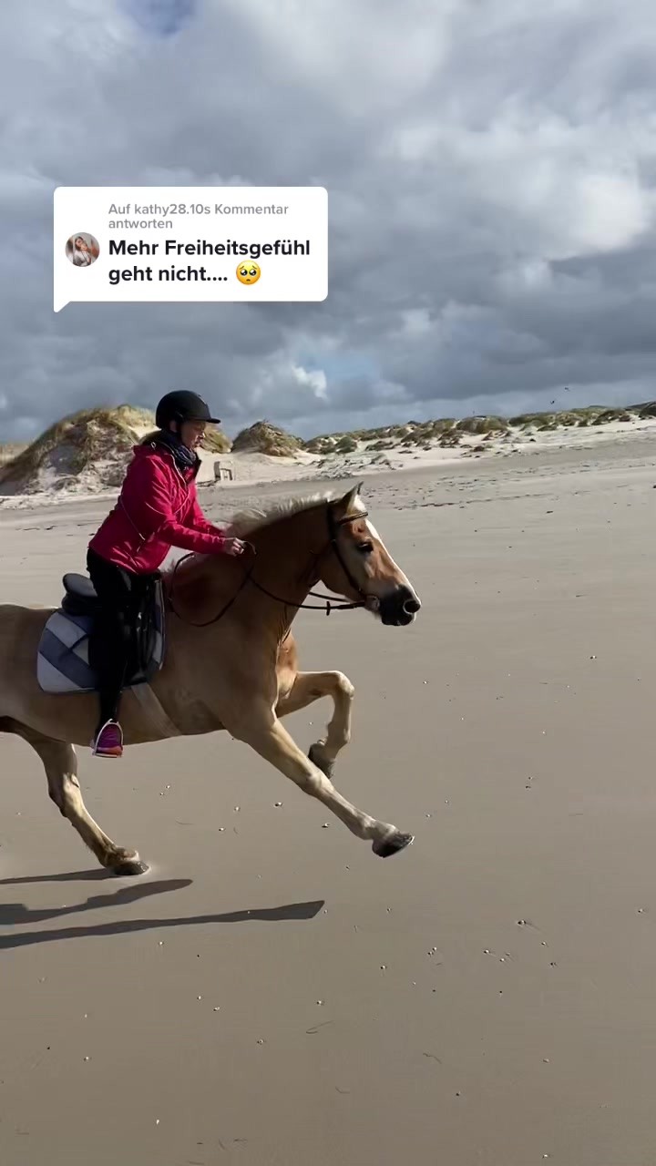 @reiterhof.andresen.amrum