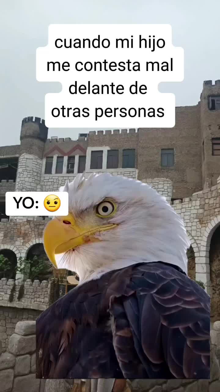 @🌻Cris🌻