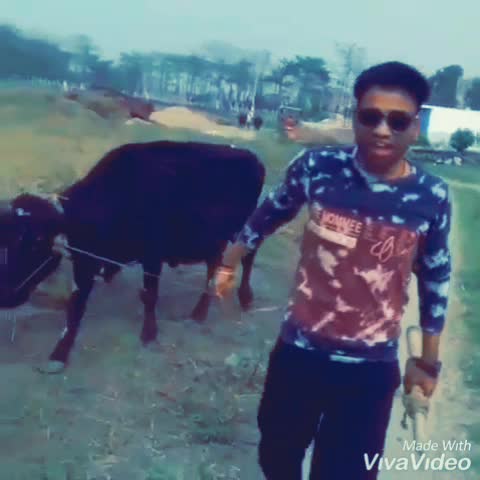 @ayush singh