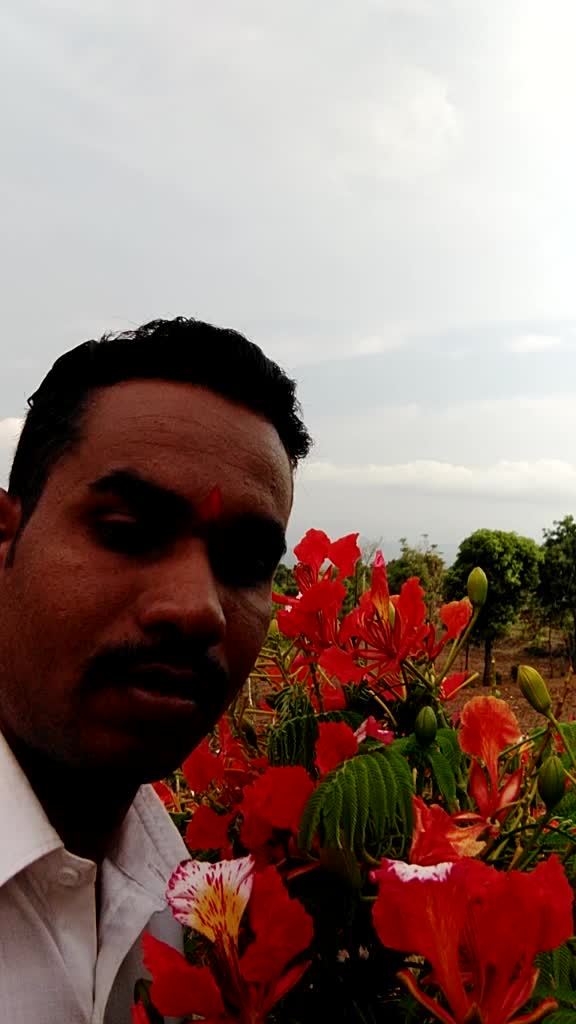 @mauli1991