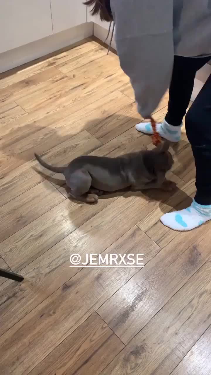 @jem