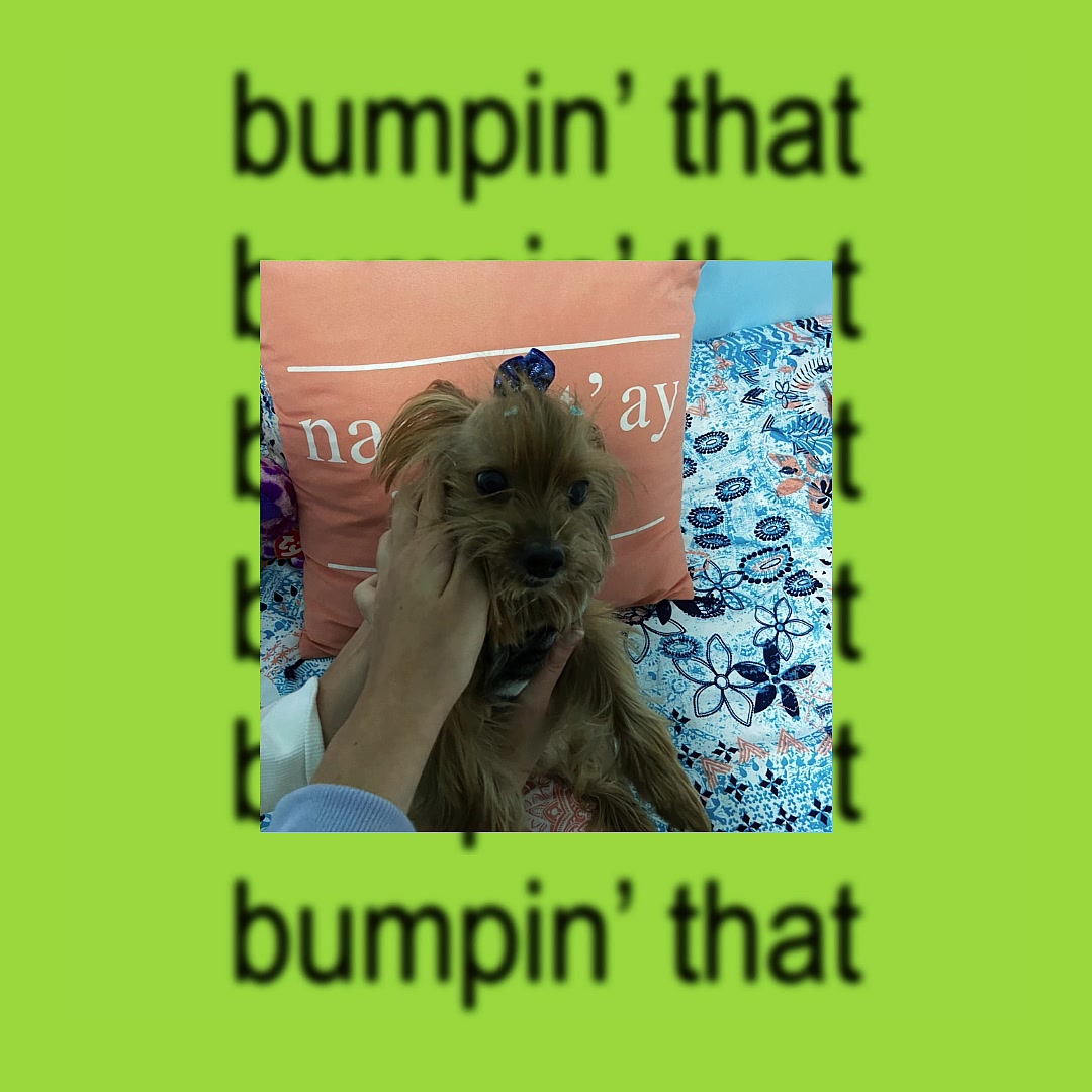 @nina🤠